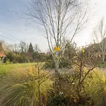 De France - Le Nid D'hirondelles