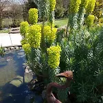 Dom wakacyjny De France - Le Nid D'hirondelles *