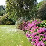 Dom wakacyjny De France - Le Nid D'hirondelles Brunville