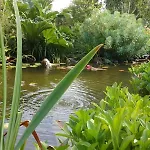 De France - Le Nid D'hirondelles Brunville