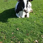 De France - Le Nid D'hirondelles Dom wakacyjny *