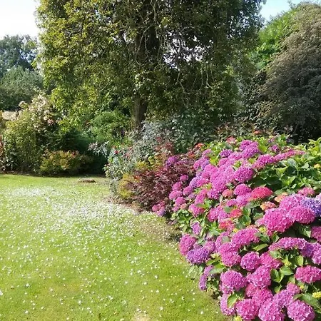 Tatil Evi Gite Gites De France - Le Nid D'Hirondelles Brunville