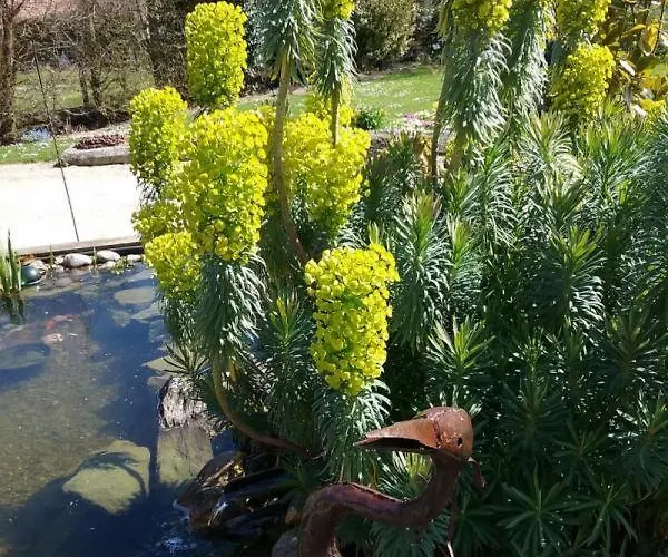 Ferienhaus Gite Gites De France - Le Nid D'Hirondelles *