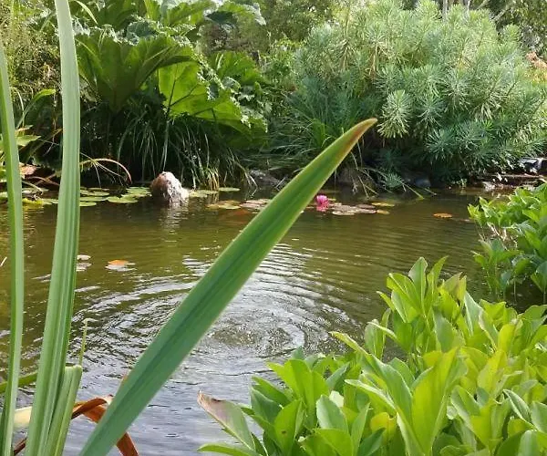 Gite Gites De France - Le Nid D'Hirondelles Brunville
