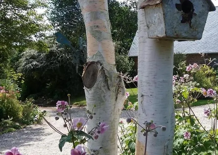 Tatil Evi Gite Gites De France - Le Nid D'Hirondelles Brunville