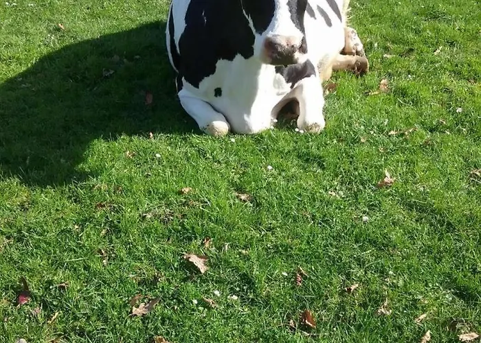 Gite Gites De France - Le Nid D'Hirondelles Ferienhaus *